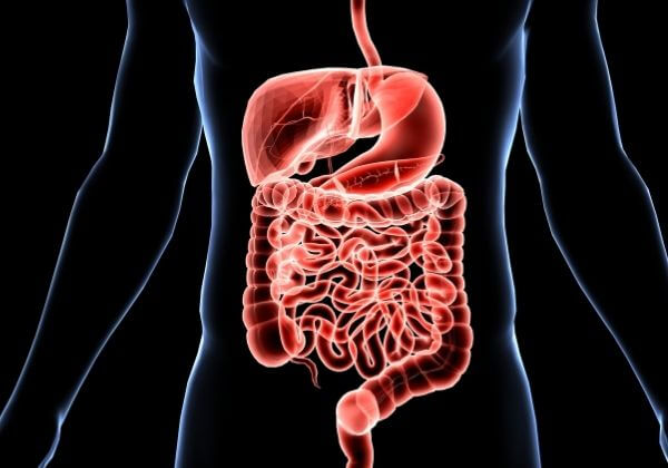 Doctor Evaluation of Digestive Function & What Results Mean