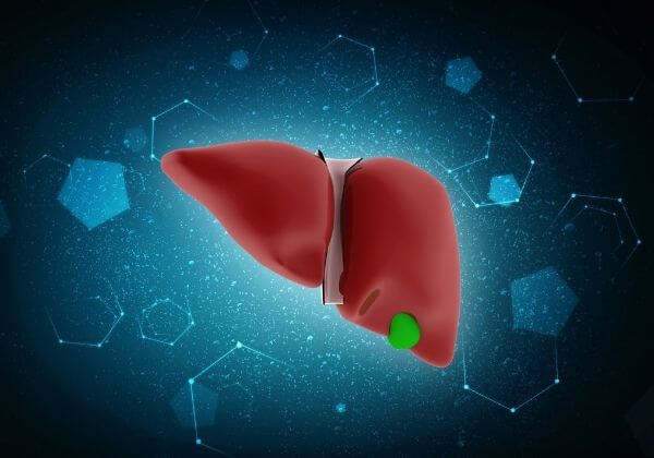Proper Doctor Evaluation of Liver Function