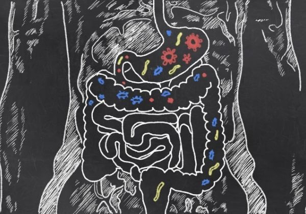 Healthy Gut 101: What Are Probiotics
