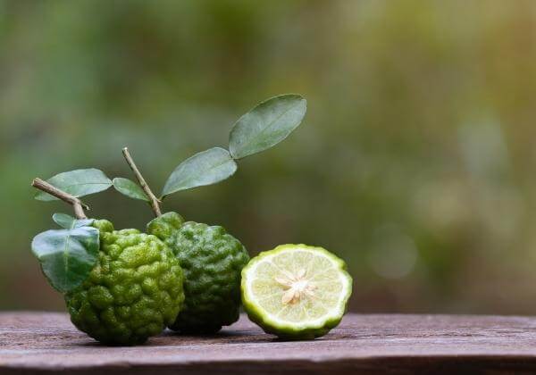 Bergamot: How It Supports Heart Health and More