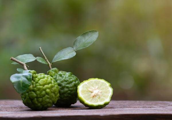 What Is Bergamot: How It Supports Heart Health
