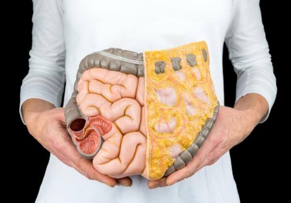 Unhealthy Gut Symptoms and What You Can Do About It