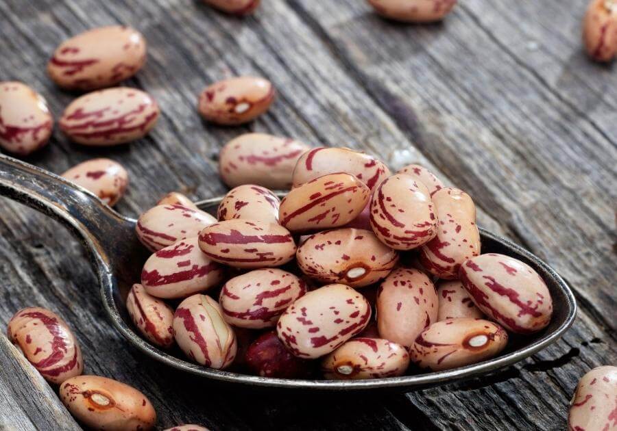 Toasted Pita and Bean Salad to Support Your Health