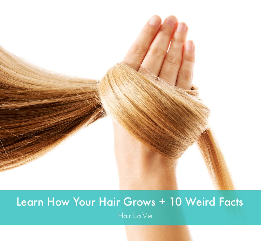 Hair 101: The Science Behind Your Flowing Locks | Hair La Vie