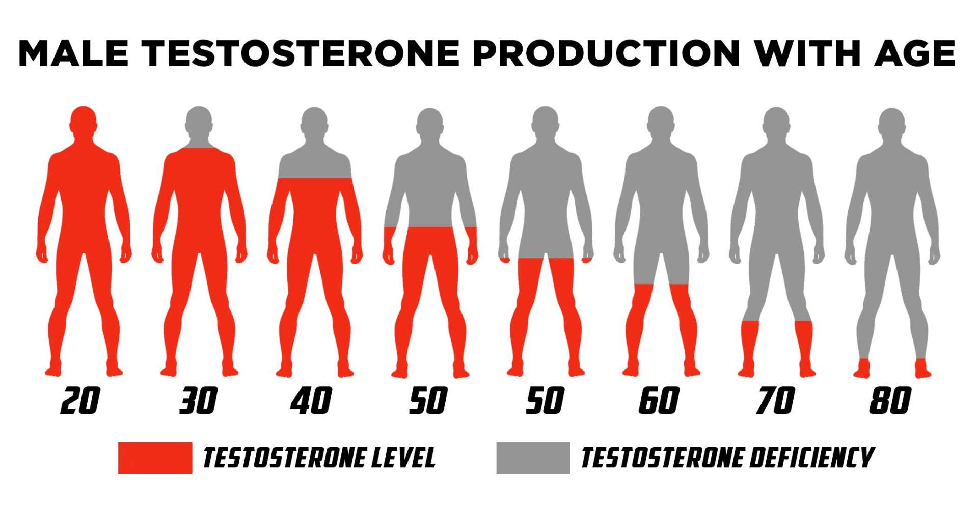 2024's Top Testosterone Supplements for Muscle Building ShopOwl