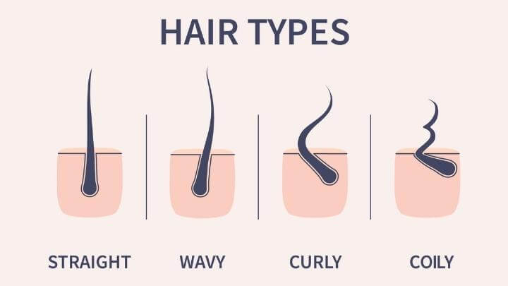 Different hair follicle types