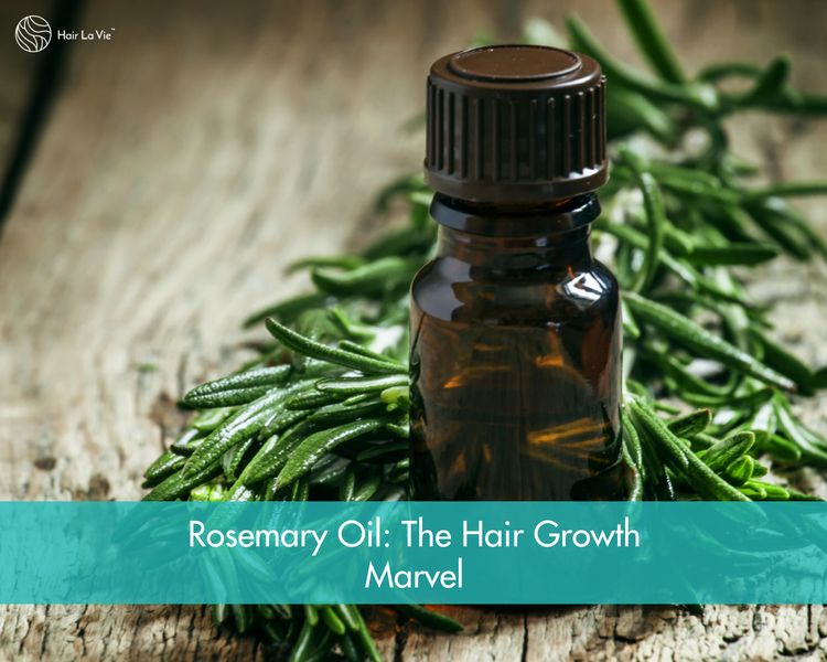 The Amazing Benefits of Rosemary Oil: Hair Growth, Dandruff, and Grays