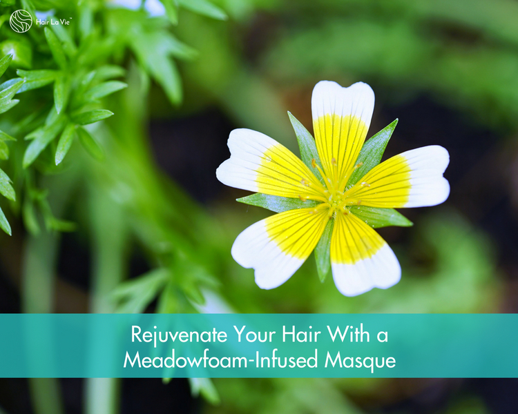 The Tantalizing Shine of Hair Benefits: Organic Meadowfoam Seed Oil