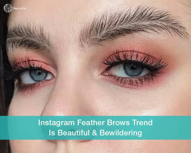 Feather Brows Make Bold Statement As Hot New Instagram Trend