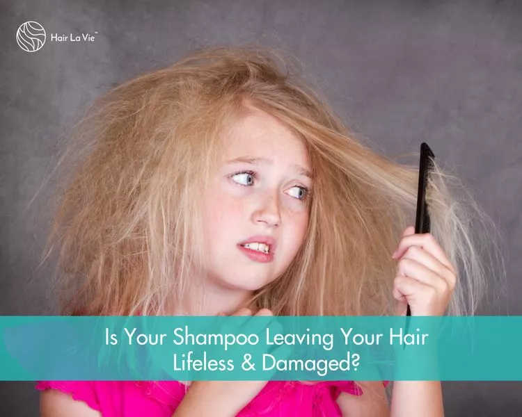 What's In Your Shampoo?