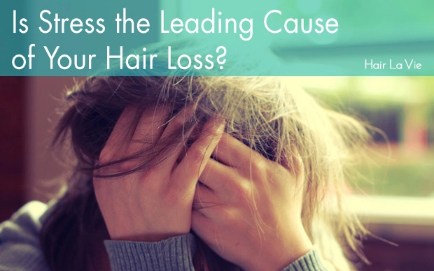 Is Stress the Leading Cause of Your Hair Loss?