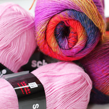 The start of many Spring flowers