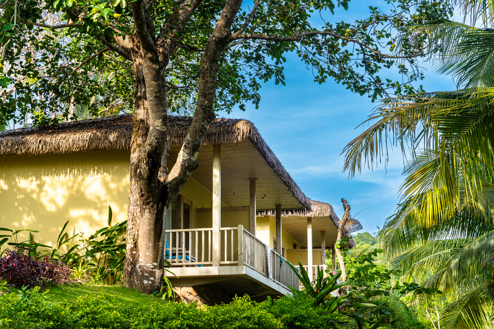 Hình ảnh phòng Deluxe Bungalow with Garden View