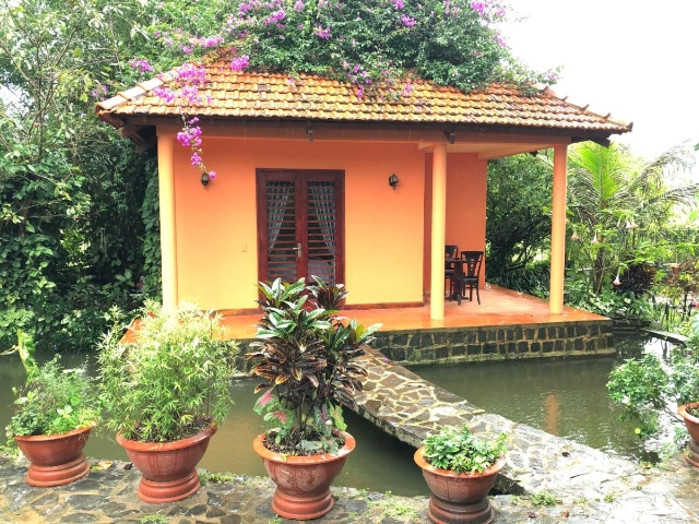 Hình ảnh phòng Pool & View Garden Bungalow