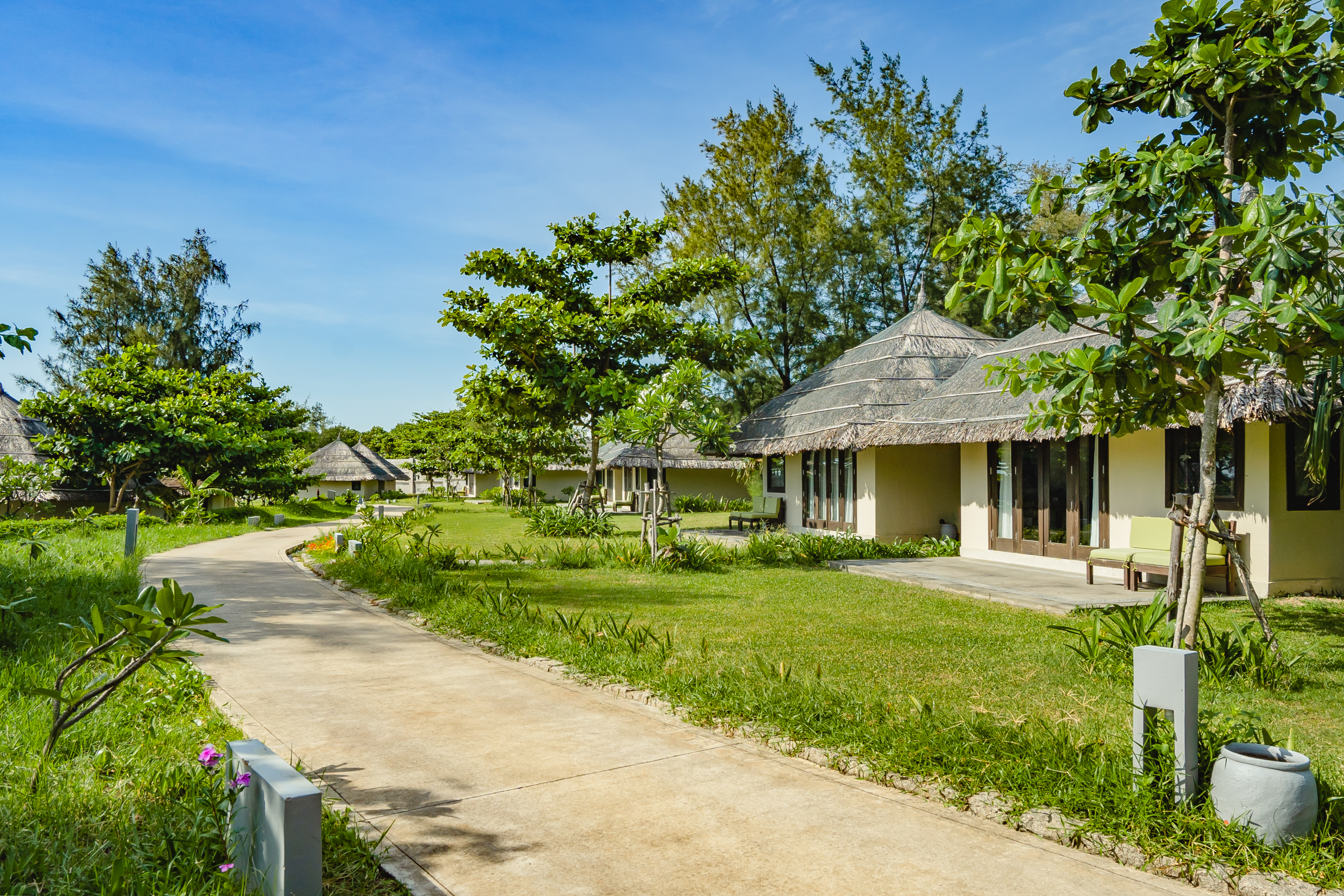 Hình ảnh phòng Bungalow Pine Hill