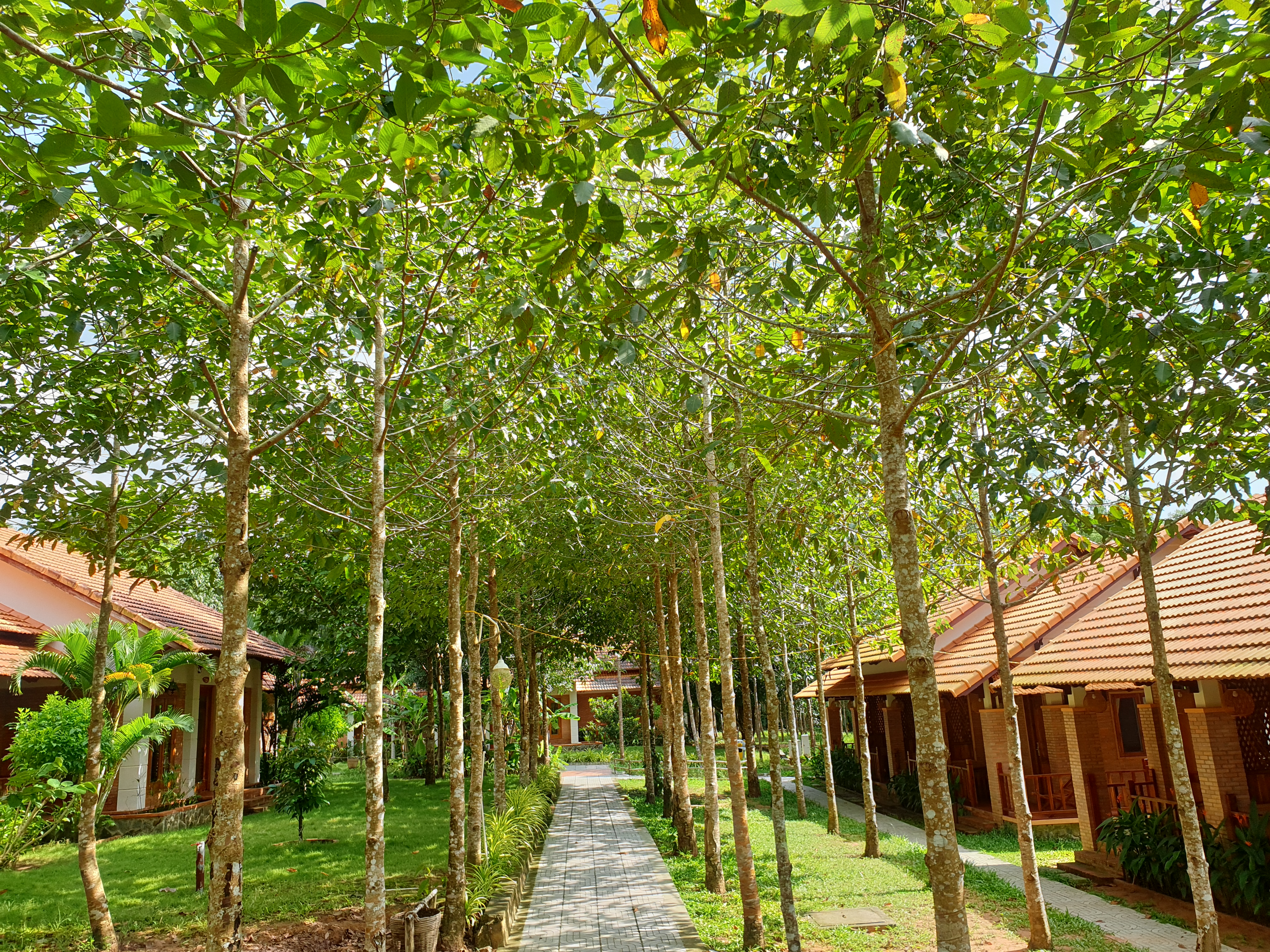 Hình ảnh phòng Double Garden View Room