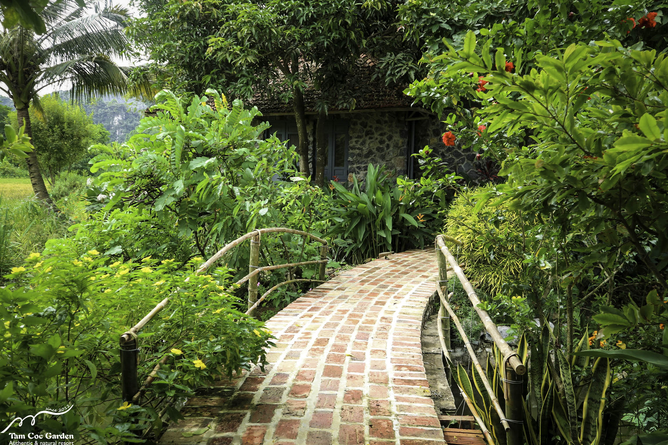 Hình ảnh phòng Premium Tonkin Garden Bungalow