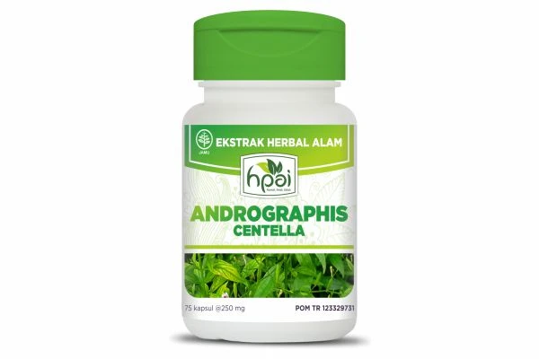 ANDROGRAPHIS CENTELLA 2020