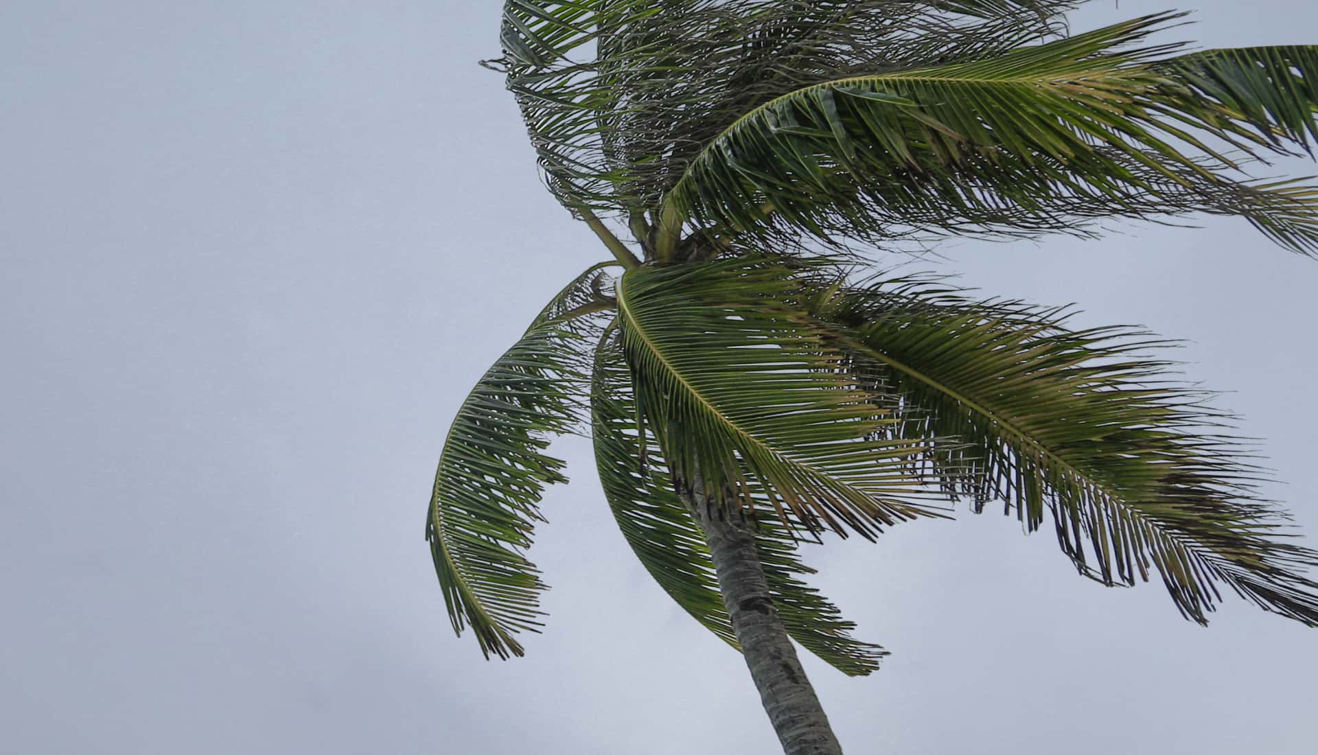 cyclone-home-vulnerability-1