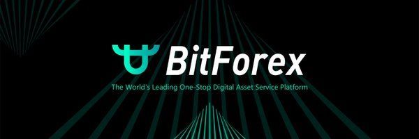 BitForex exchange: a review