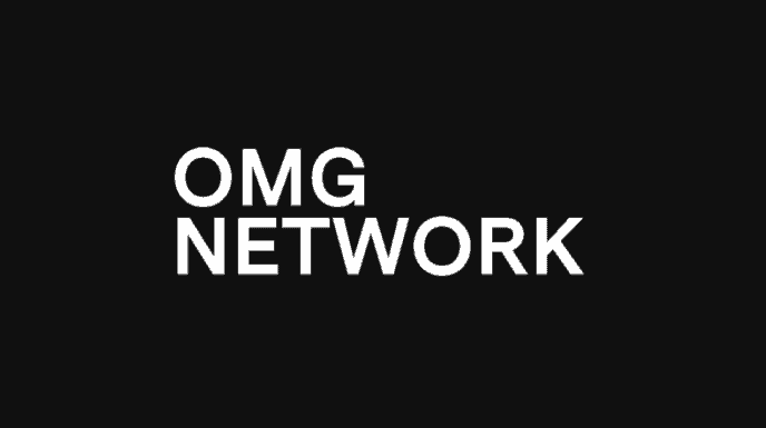 Understanding OMG Network: a beginner’s guide & review