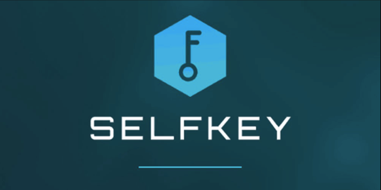 SelfKey review cover SelfKey review cover