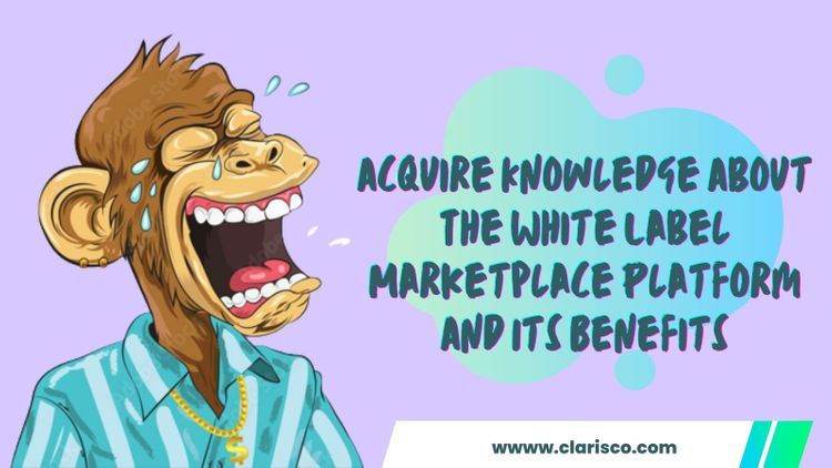 Get Knowledge About  White Label NFT Marketplace