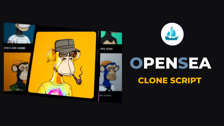 OpenSea clone app development OpenSea clone app development