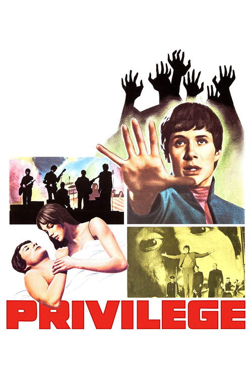 Privilege poster