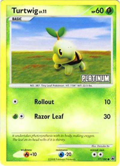 Turtwig 77