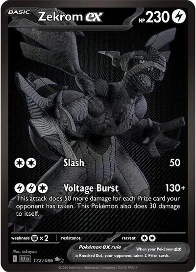 Zekrom ex 172