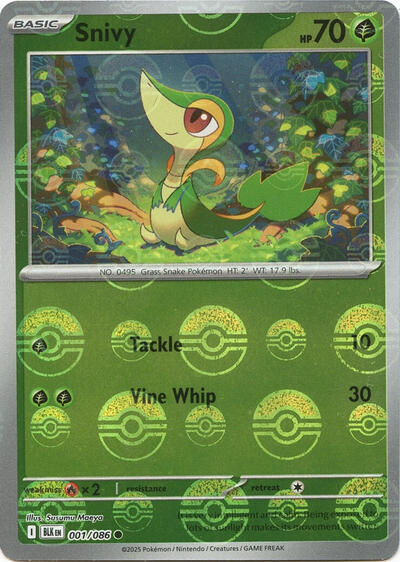 Snivy 1