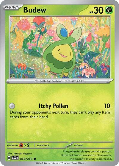 Budew 16
