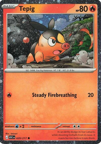 Tepig 29