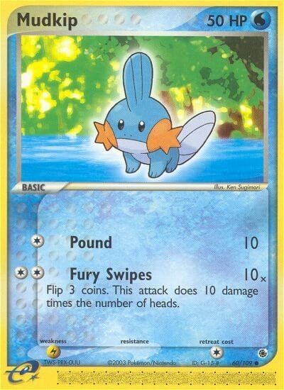 Mudkip 60