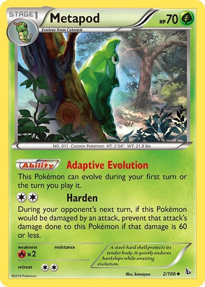 Metapod 2