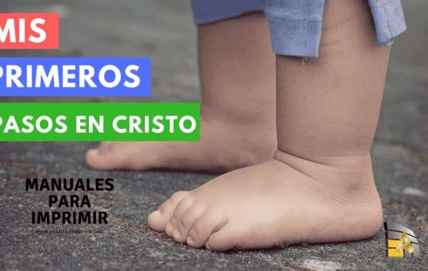 LITERATURA CRISTIANA│MIS PRIMEROS PASOS EN CRISTO│LA IMPORTANCIA DEL DISCIPULADO