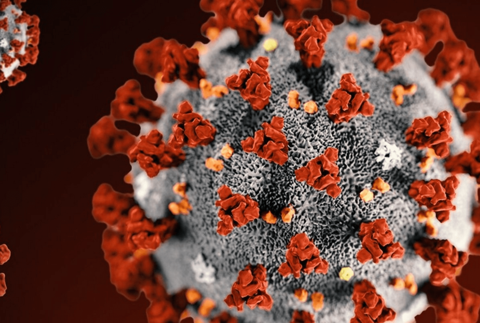 MAPA EN TIEMPO REAL DEL CORONA VIRUS (COVID-19)