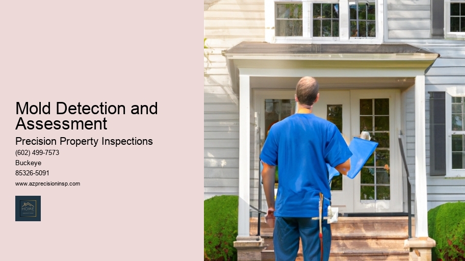 Mold Detection and Assessment