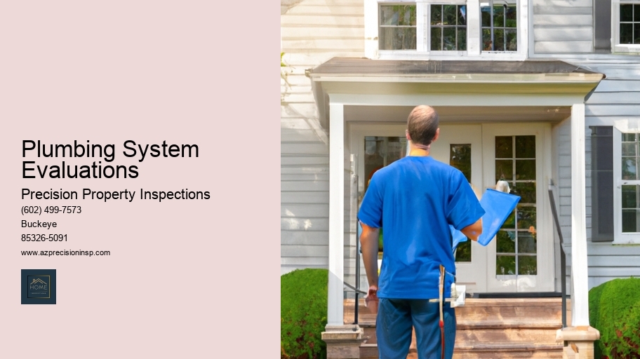 Plumbing System Evaluations