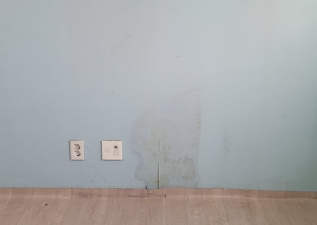 인천 부평구 곰팡이 제거 작은방 벽지 곰팡이 왜 계속 생길까요? 사진 1