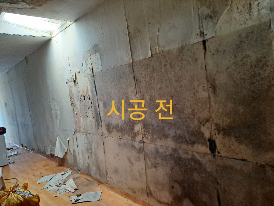 곰팡제거 후 규조토결로제로 및친환경규조토페일트 시공 사진 1