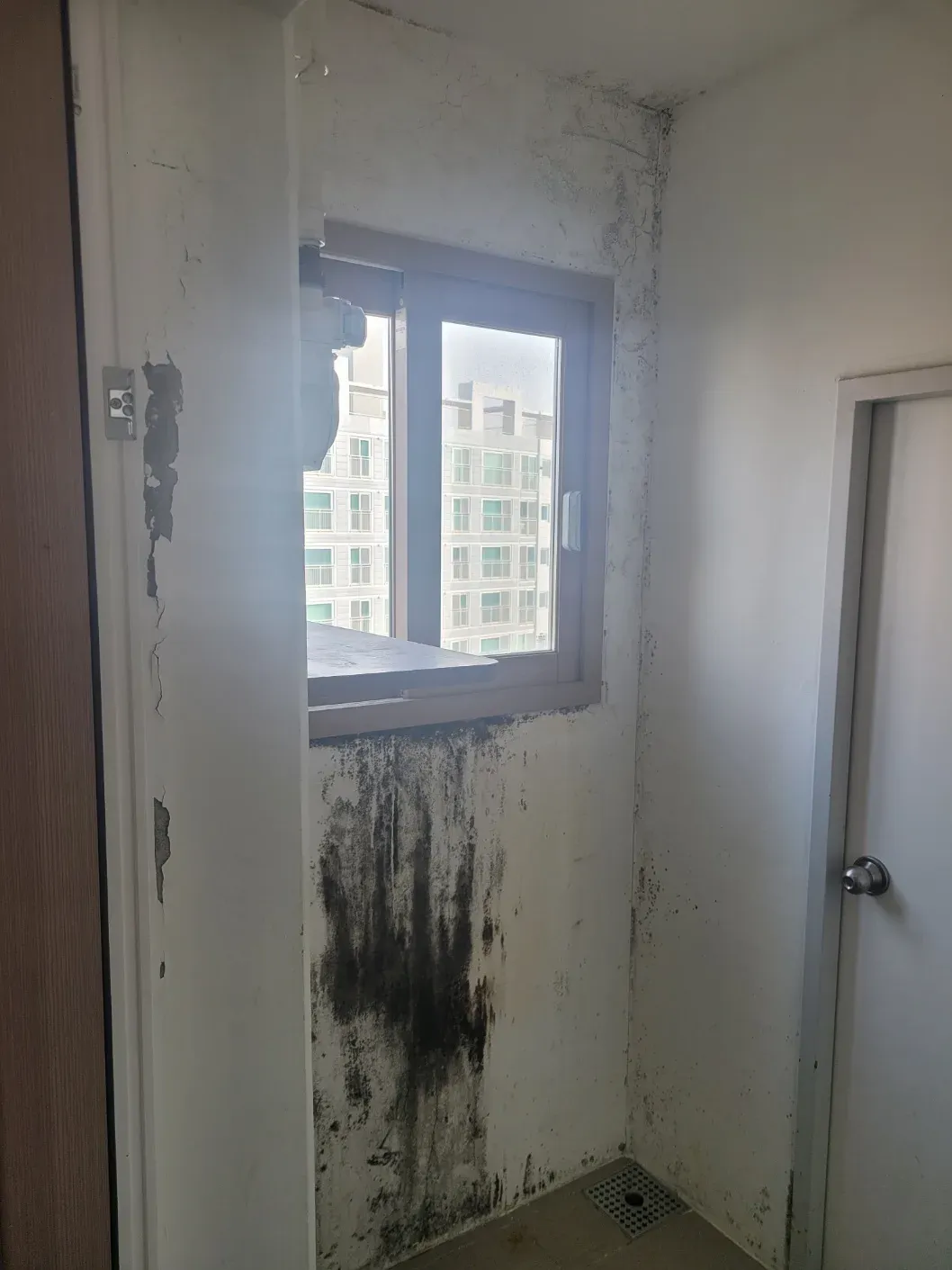 시공 전 세탁실 벽 곰팡이