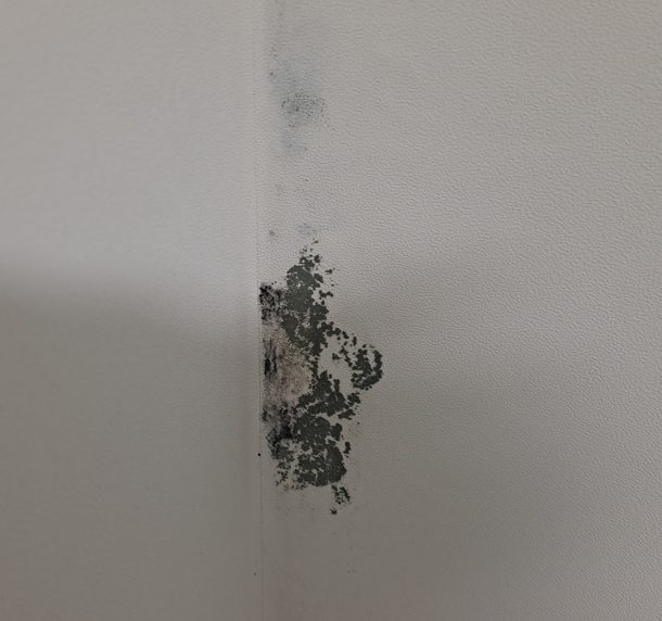 인천 계양구곰팡이 제거 창문 옆 검은 벽지곰팡이, 결로 원인부터 해결했습니다 사진 2