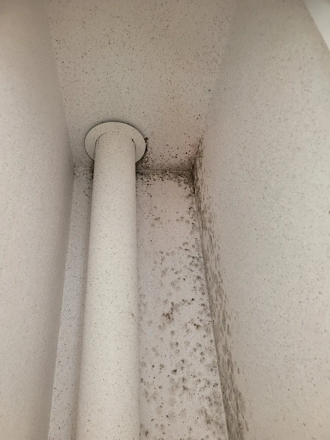 배관 주변 곰팡이