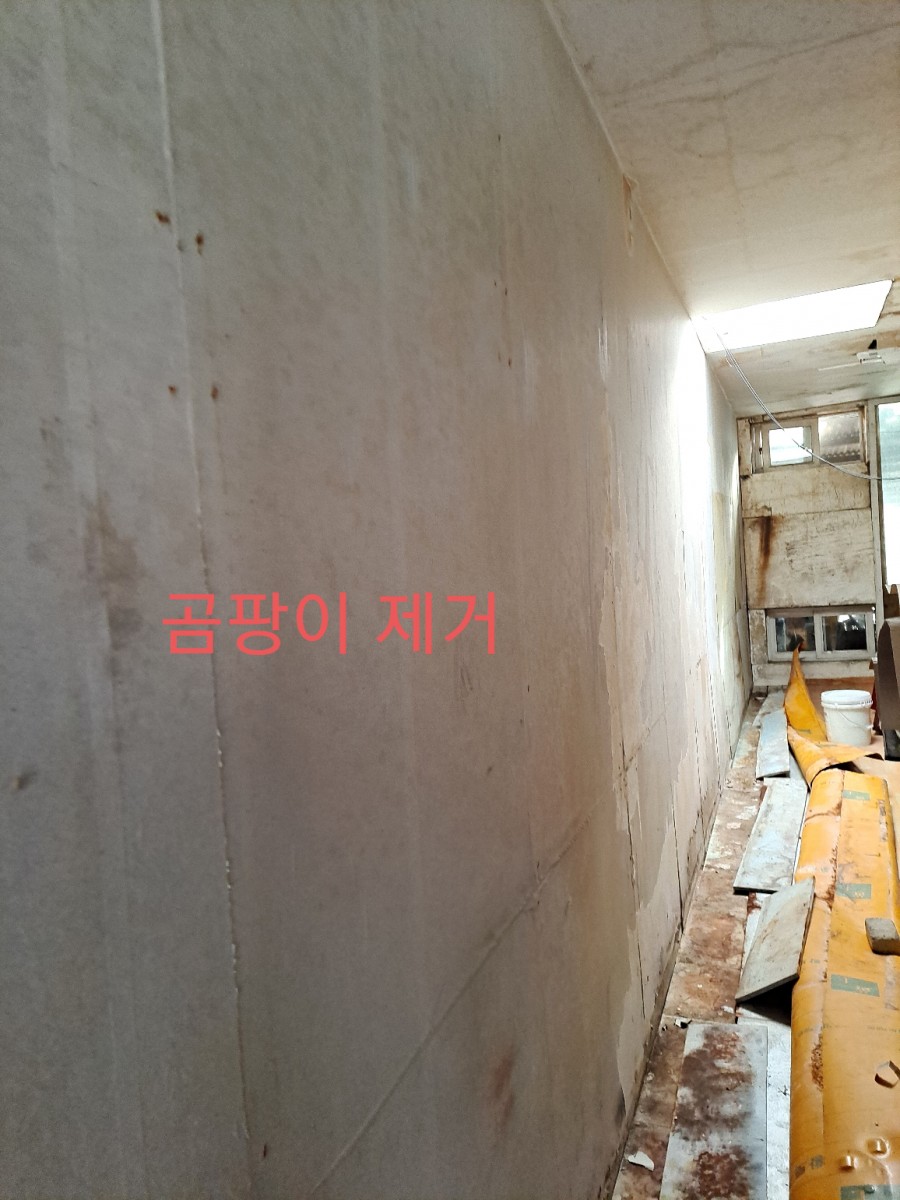 곰팡제거 후 규조토결로제로 및친환경규조토페일트 시공 사진 14