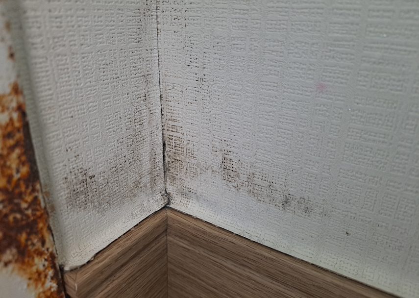 인천 송도 아파트 벽지 곰팡이 제거 도배만 하면 다시 생기는 이유? 결로 원인부터 단열시공까지 사진 3