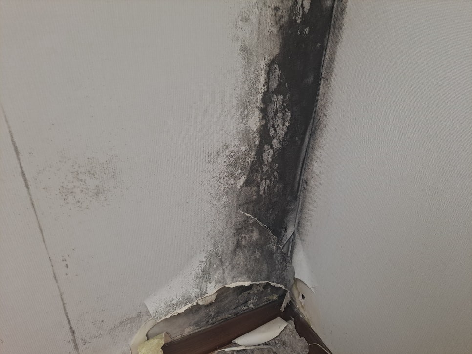 인천 미추홀구곰팡이 제거 창가 벽지에 반복되는 곰팡이 단열시공으로 해결한 후기 사진 4