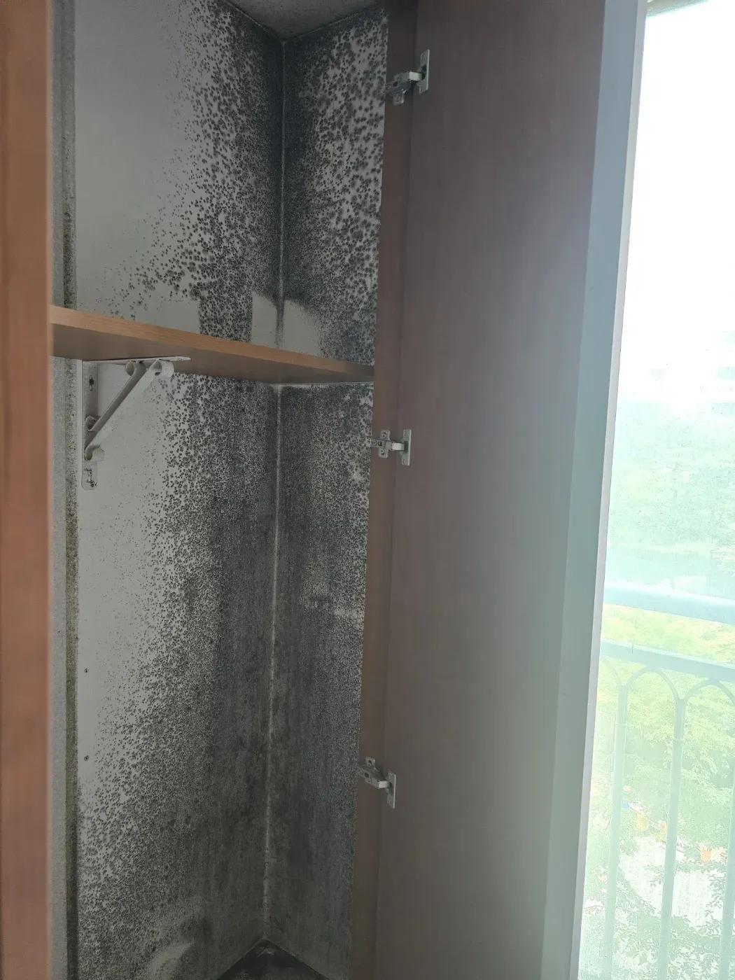 시공 전 창고 벽 곰팡이