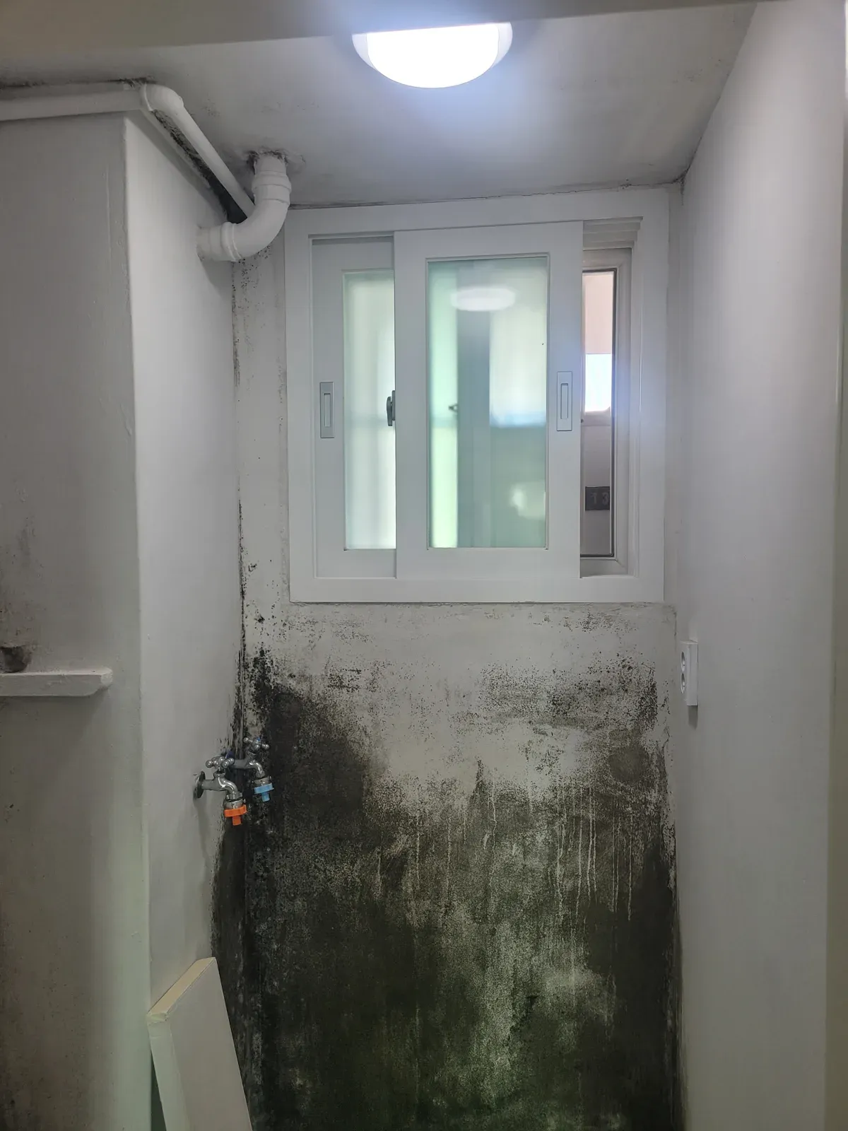 시공 전 세탁실 벽 곰팡이